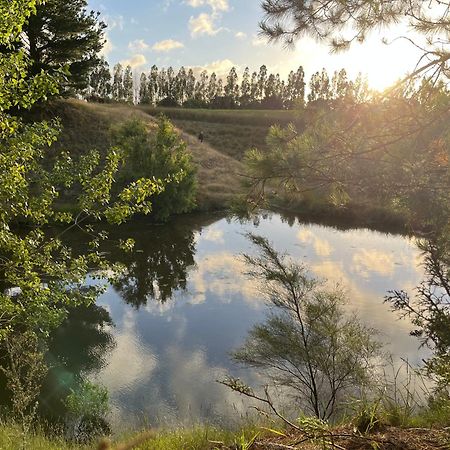 A Cabin With A Big View, Comfort And Tranquility, Close To Vines Martinborough Exterior photo