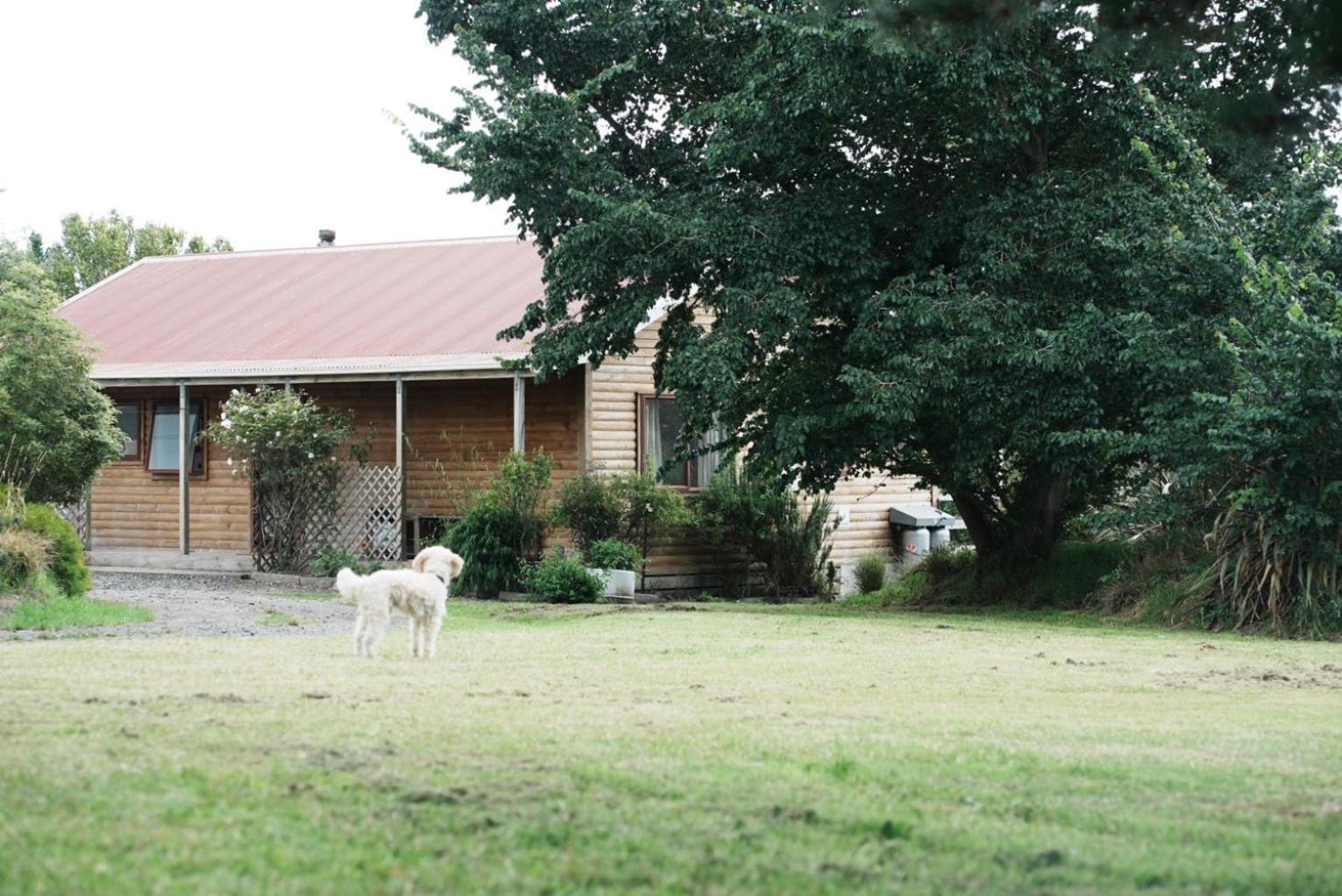 A Cabin With A Big View, Comfort And Tranquility, Close To Vines Martinborough Exterior photo