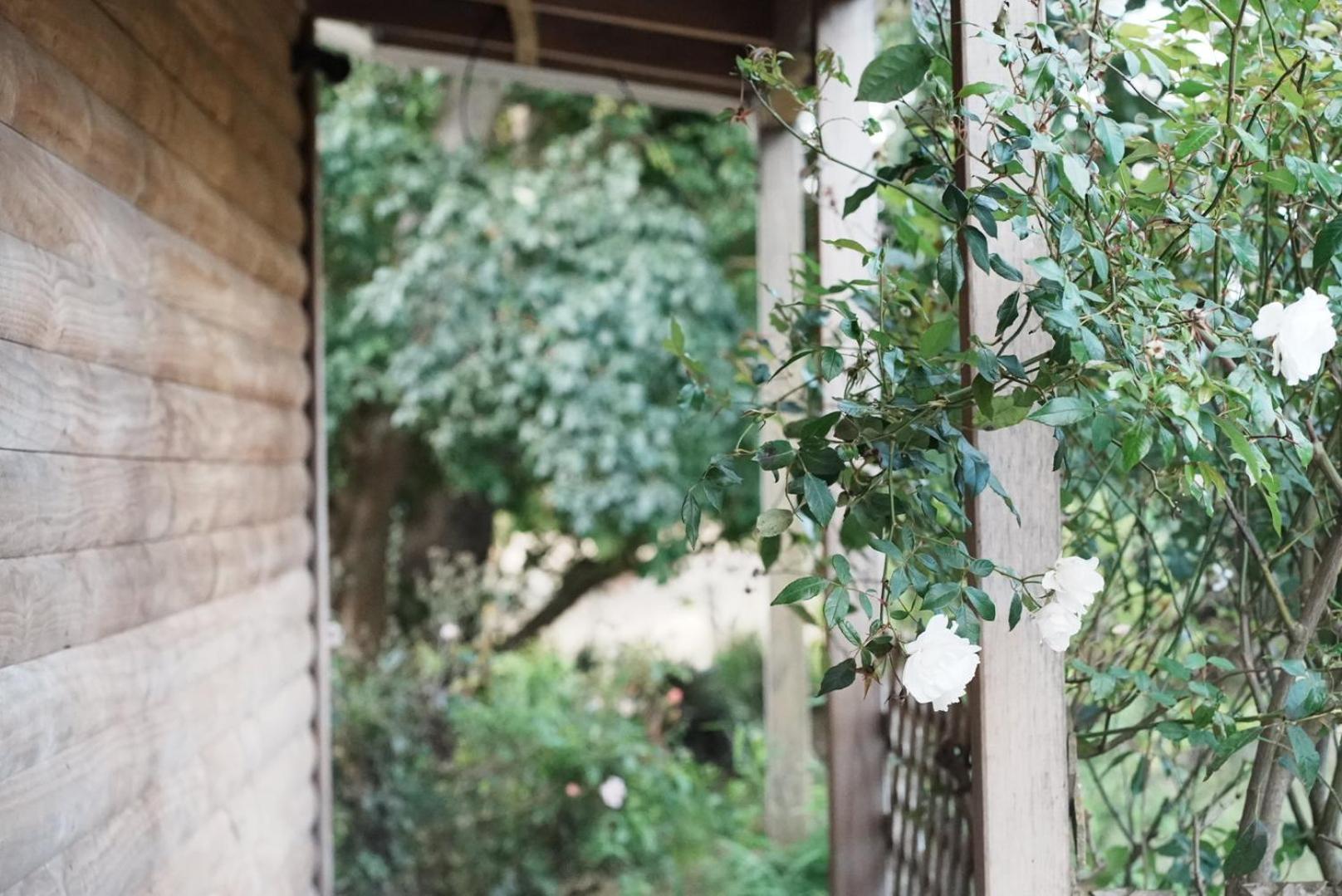 A Cabin With A Big View, Comfort And Tranquility, Close To Vines Martinborough Exterior photo