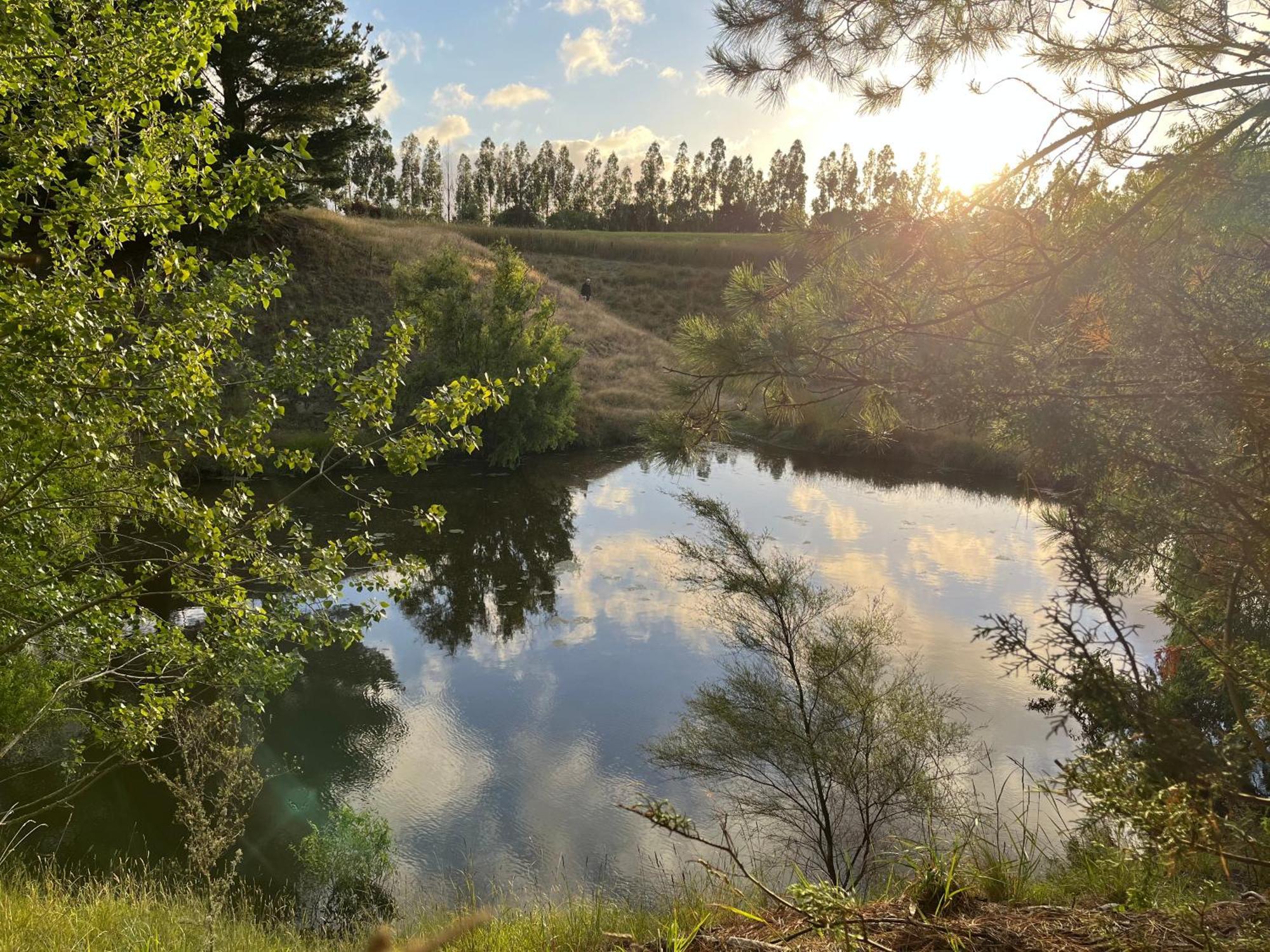 A Cabin With A Big View, Comfort And Tranquility, Close To Vines Martinborough Exterior photo