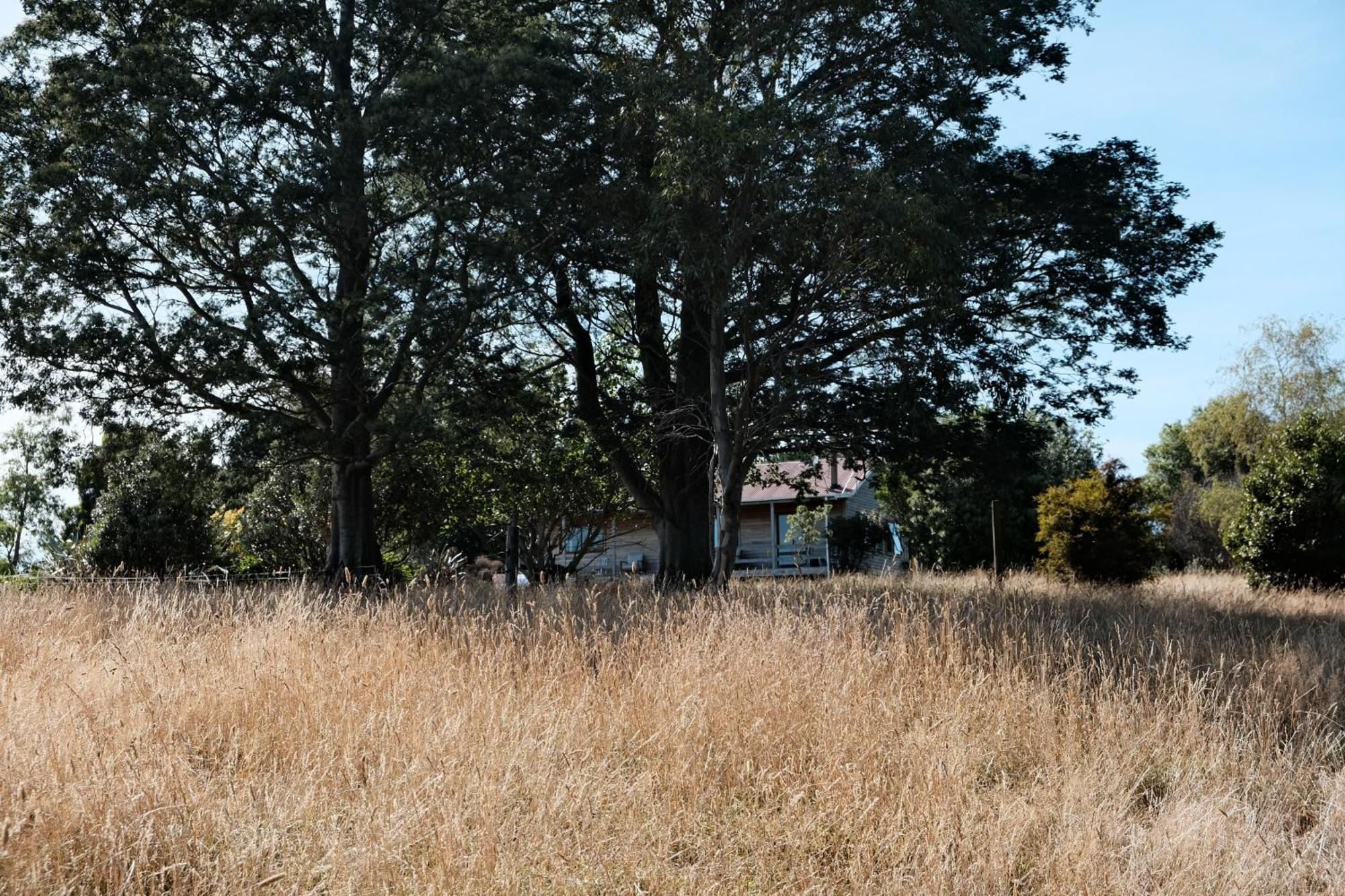 A Cabin With A Big View, Comfort And Tranquility, Close To Vines Martinborough Exterior photo