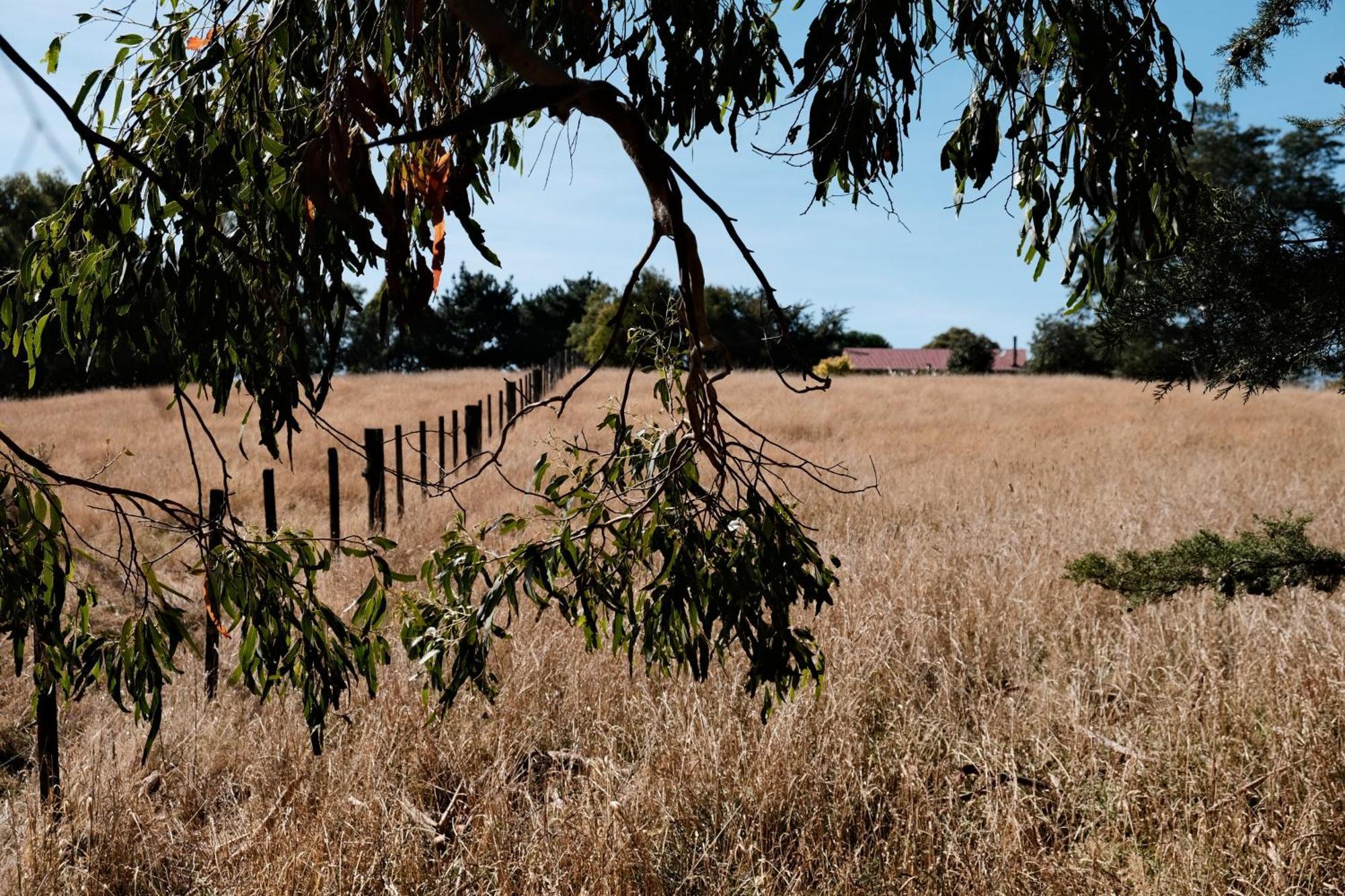 A Cabin With A Big View, Comfort And Tranquility, Close To Vines Martinborough Exterior photo