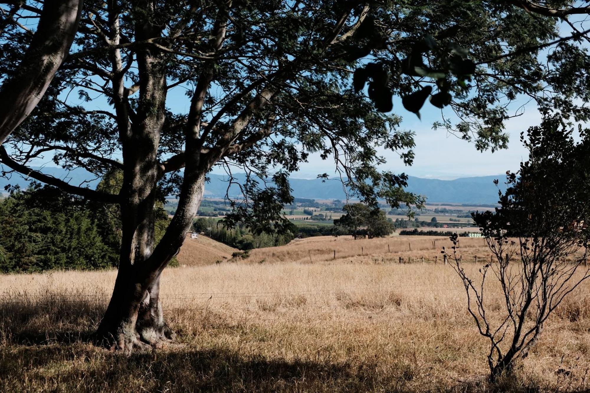 A Cabin With A Big View, Comfort And Tranquility, Close To Vines Martinborough Exterior photo