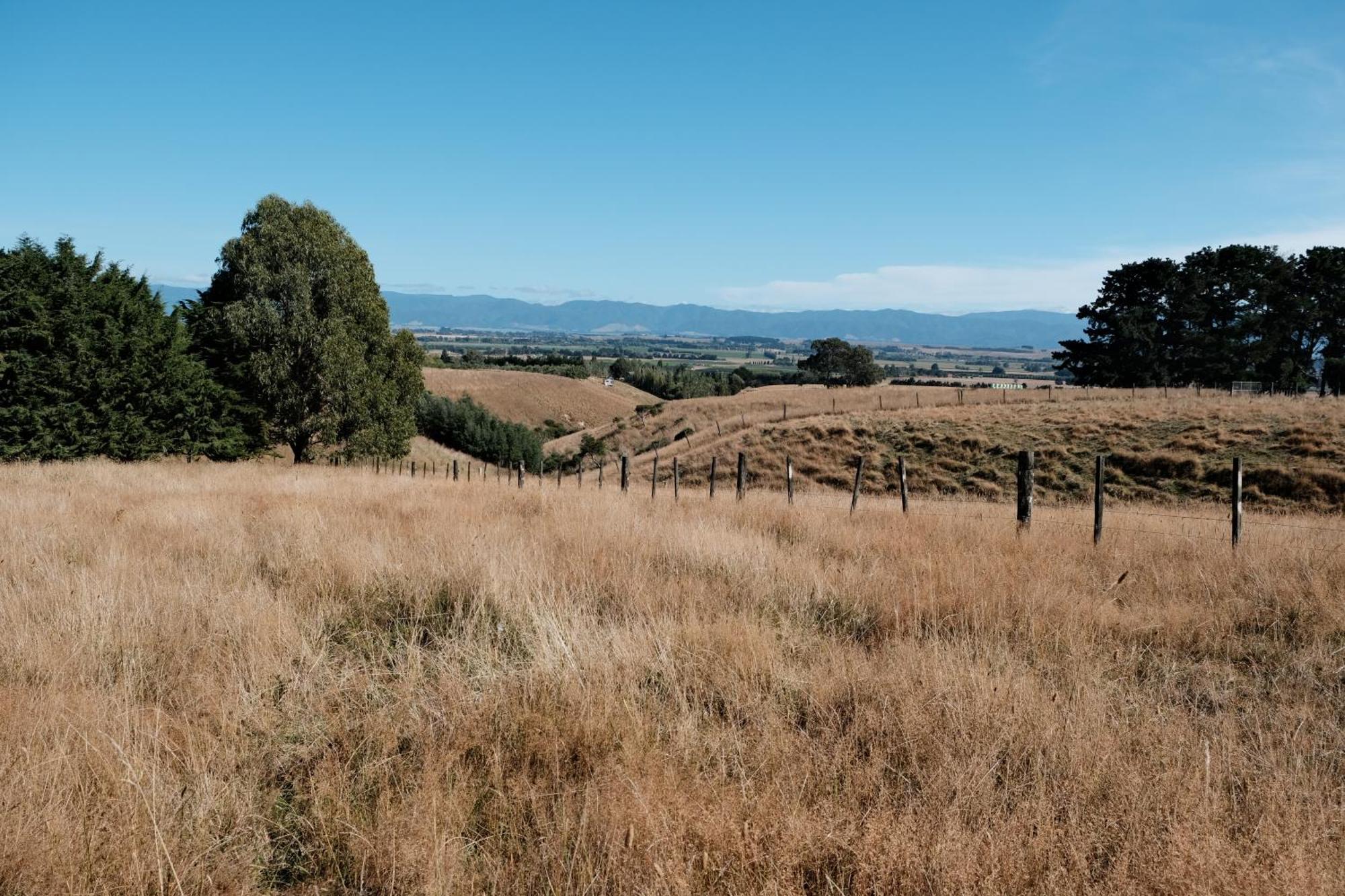 A Cabin With A Big View, Comfort And Tranquility, Close To Vines Martinborough Exterior photo